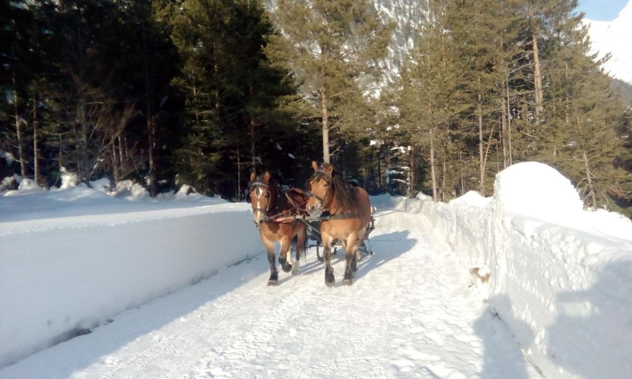 Gasthof Risserhof Otel Scharnitz Dış mekan fotoğraf